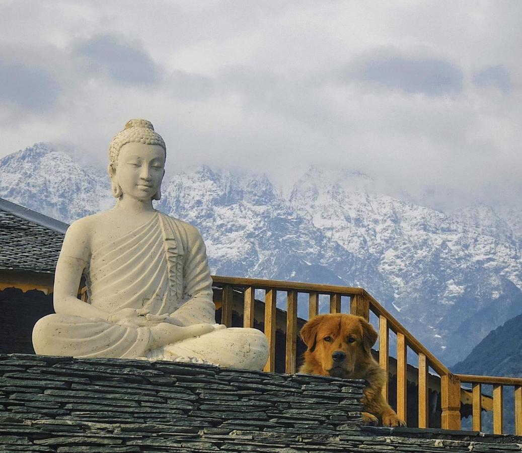 Osho Himalayas Wellness Resort Kangra Bagian luar foto